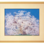 中島千波『千歳櫻』岩絵具方式複製画