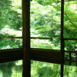 京都の名所　瑠璃光院の美しい新緑